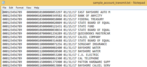 positive pay file format