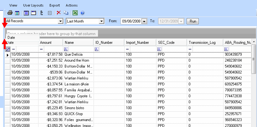 Report Creator - Grouping