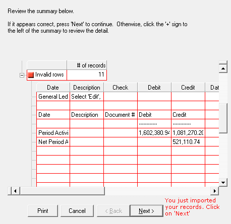 Getting Started BR - Invalid Rows expanded